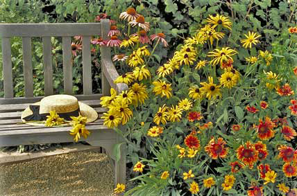 garden bench with wildflowers