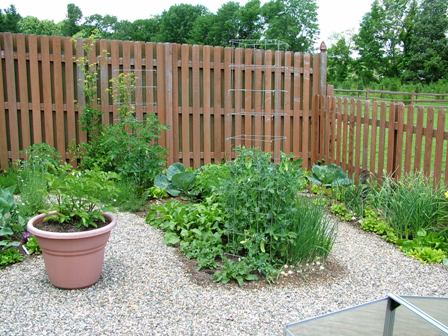 Backyard Fence