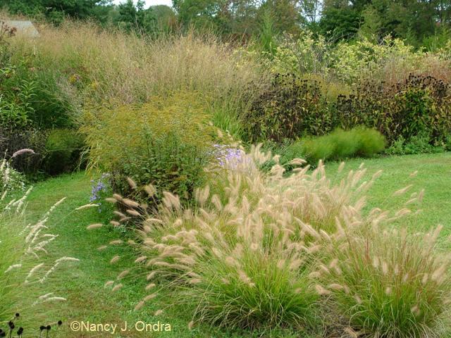 Grouping Plants