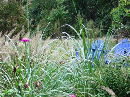 October 2005 blue chairs, grasses and zinnias.jpg-resized