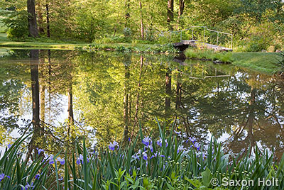 Mt Cuba pond with dawn reflections on water in woodland garden