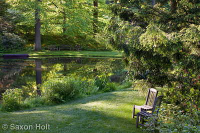 Chairs by pond in woodland garden