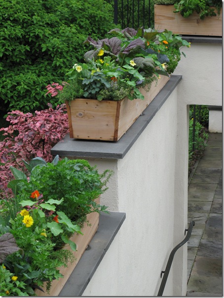 Wall planters and veggies