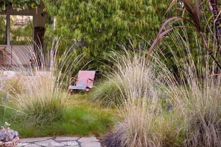 Backyard Meadow, Grass Garden with Rustic Chair