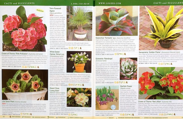catalog pages
