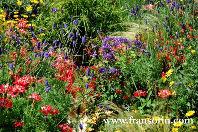 12 Tips on How To Use Color Effectively In The Garden