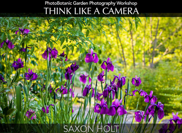 PhotoBotanic Garden Photography Workbook, Think Like A Camera eBook Cover