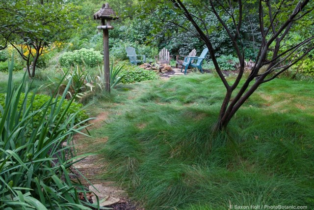 Lawn substitute, no mow fescue meadow with path leading to seating area past bird house, Minnesota garden