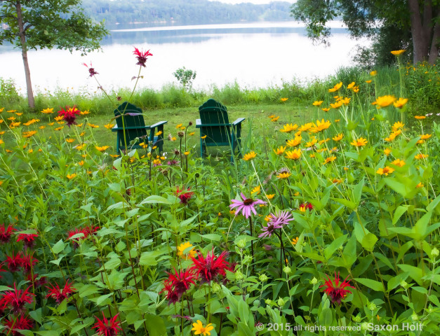 Connecticut meadow garden with native wildflowers; Larry Weiner Design
