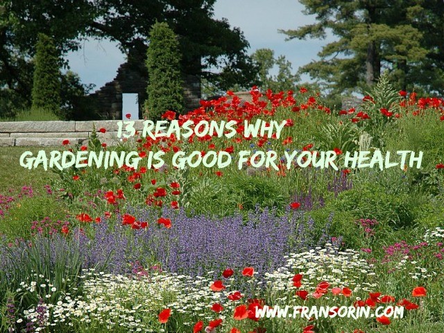Gardening Is Good For Your Health