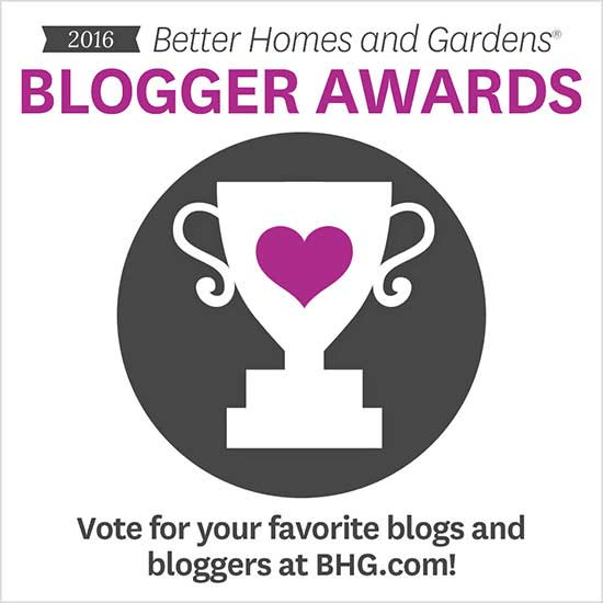 blogger awards 2016