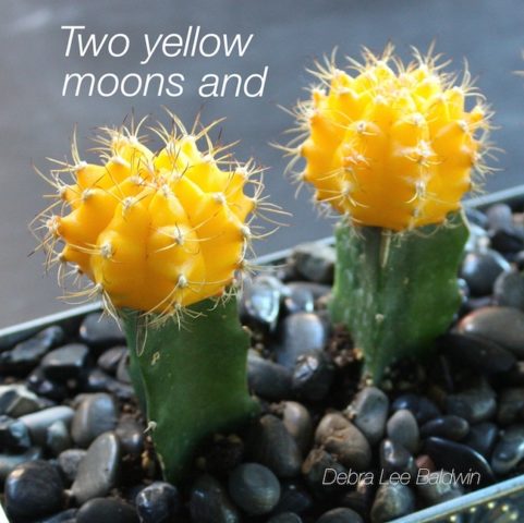 2-yellow-moons_a_2_r
