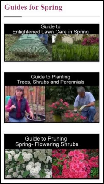 Good Gardening Videos