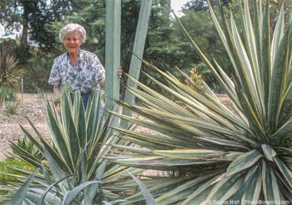 The Ruth Bancroft Garden – Memoriam to Ruth
