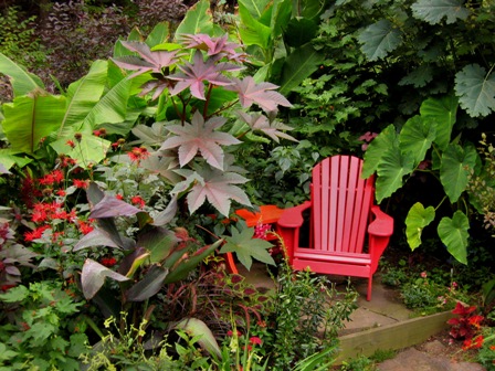 Steve's red chair