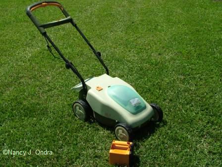 Neuton electric mower sale