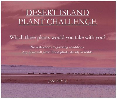 desert_island_plant_challenge