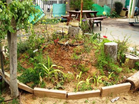 school-garden-resized-raised-bed