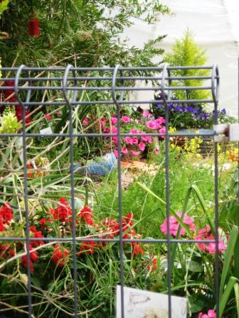 school-gardens-resized-flowers