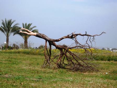 bottom-half-of-body-going-into-branch-of-tree-revised