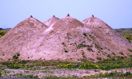 breasts-in-the-landscape-revised