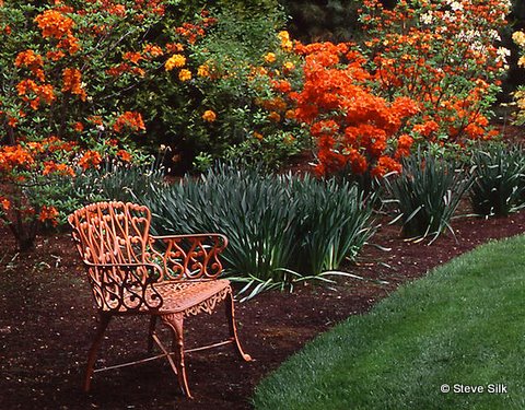 hagel-orange-chair