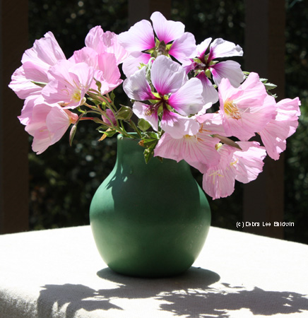 vase-of-primroses-resized
