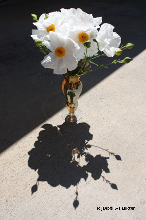 Poppies in vase resized