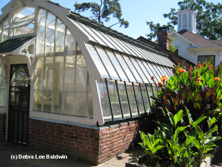 greenhouse (c)