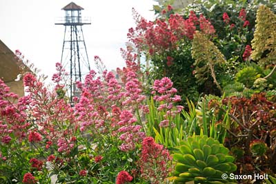 guard tower and Alcatraz gardens