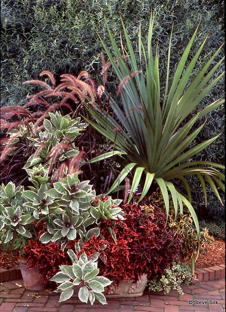 THBG Pandanus pot