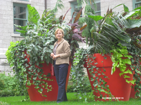 Red flower pots