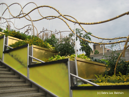 Yellow terraces