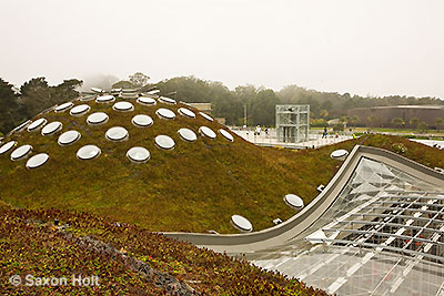 Green roof Academy of Sciences