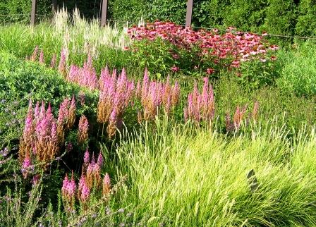 Lurie Garden- Chicago, Illinois