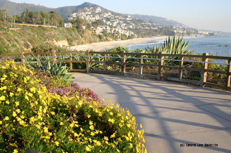 Walkway & view