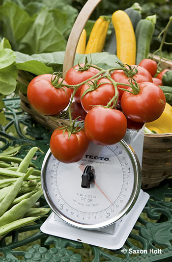 weighing the crop