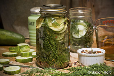 cucumber summer pickles