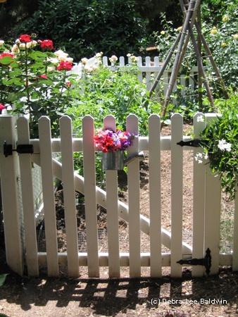 Veg gdn gate resized