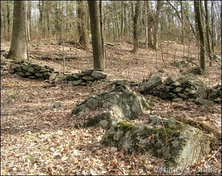 Stone walls at farm 2009