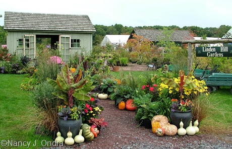 Linden Hill Gardens