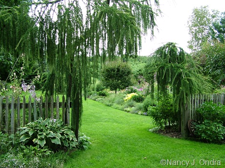 Cady's Falls Nursery