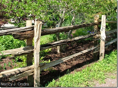 Rustic fence at Horsford 08