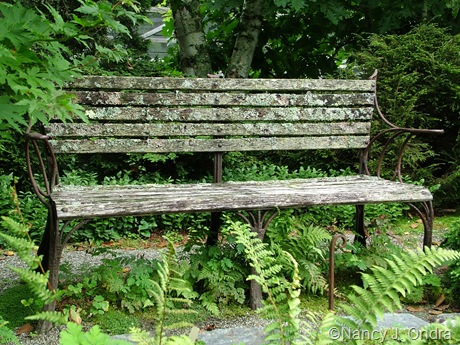Rustic bench at Cady's Falls Nursery