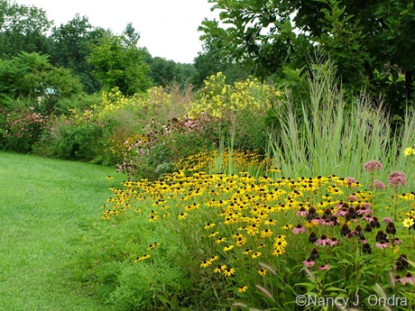 Front border at Hayefield Aug 29 09