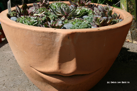 Pots & planters