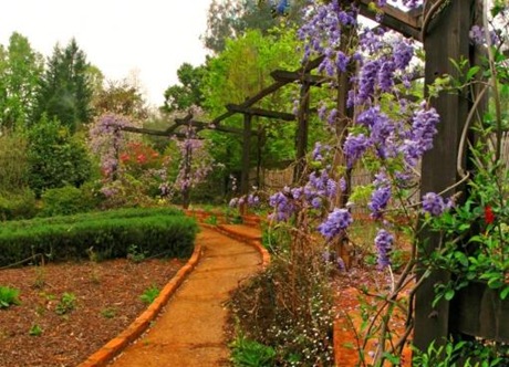 Sequoia Gardens