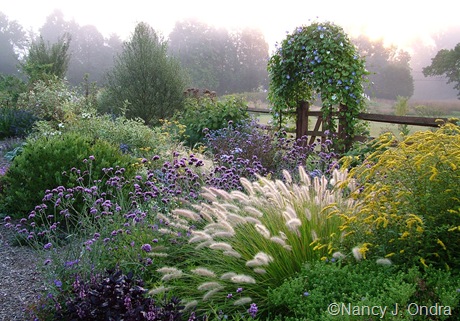 Side garden at Hayefield Sept 20 07