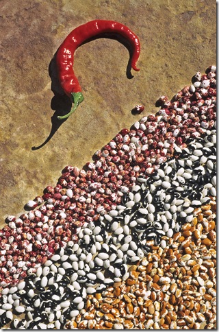 A lone chile pepper and some Anasazi beans create a still life of Native American food.