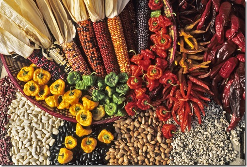 An arrangement of  Indian corn, beans varieties and chiles makes a  colorful and edible southwestern collage.